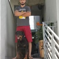 Quintas